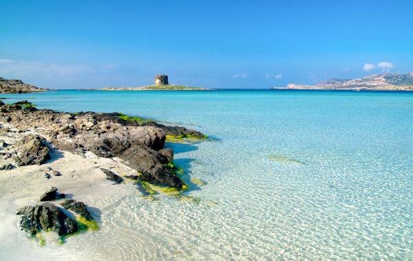 Spiaggia la pelosa